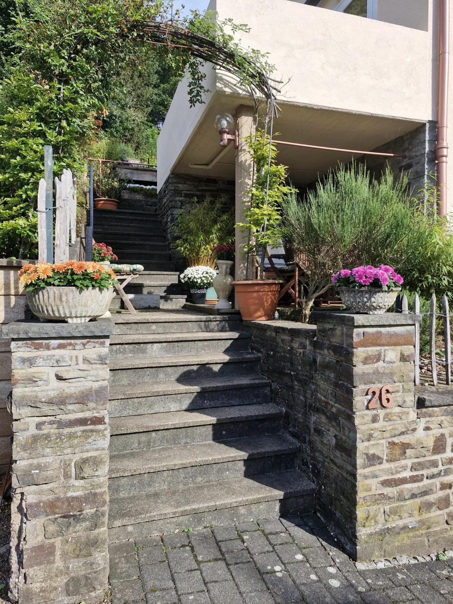 Alter Werkstatt Apartment Junkerath ภายนอก รูปภาพ